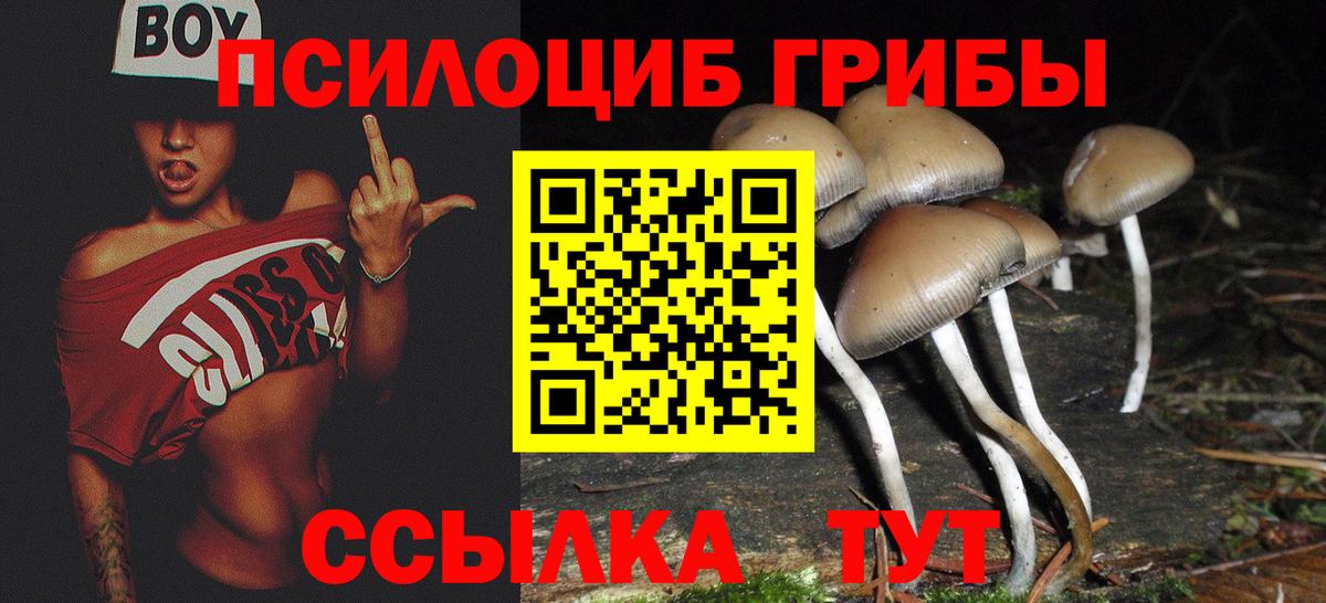 Галлюциногенные грибы Psilocybe  Вход с VPN  Электрогорск  Галлюциногенные грибы GOLDEN TEACHER 