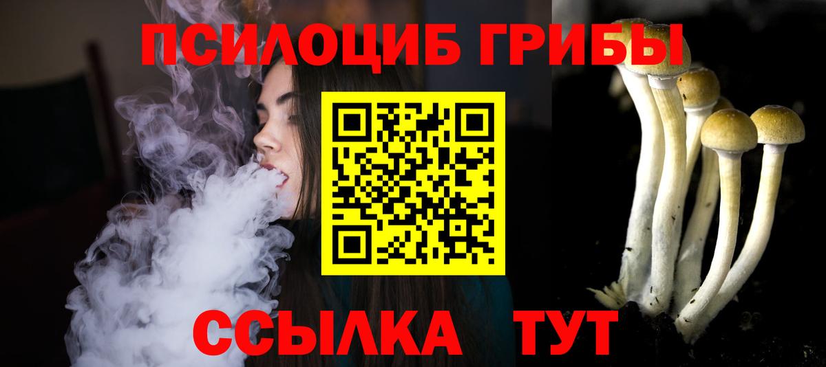 Псилоцибиновые грибы Magic Shrooms Электрогорск