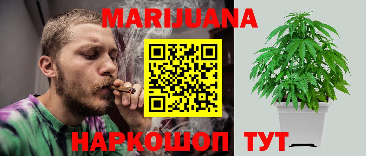 Электрогорск  Канабис сатива  Вход с VPN  Конопля White Widow 